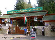 Зоопарк в городе Ниредьхаза