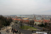 Будапешт-Вена